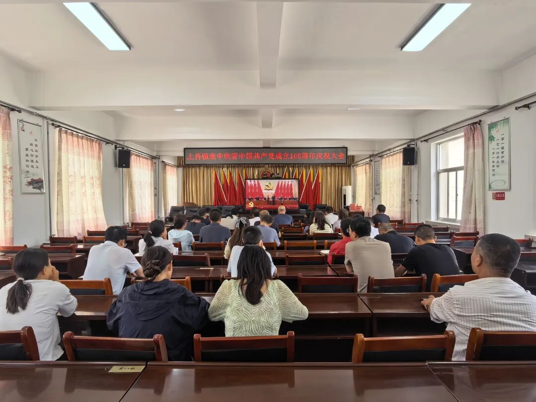 (上肖镇党员干部收看庆祝中国共产党成立105周年大会直播)
