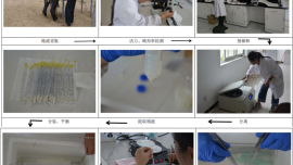《庆阳驴遗传物质制作及关联指标分析》项目通过省级评价和成果登记