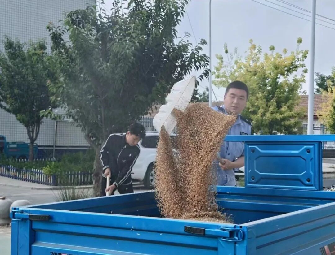 急雨将至,麦场上的藏蓝援手