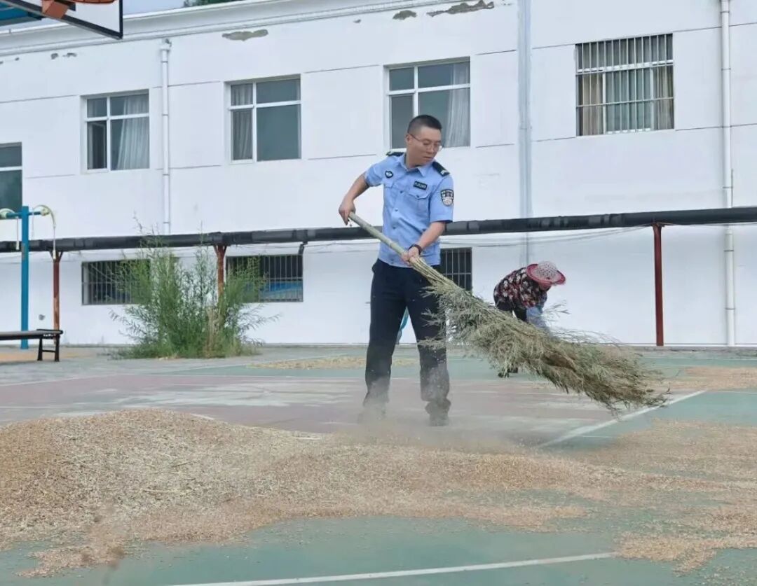 急雨将至,麦场上的藏蓝援手
