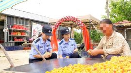 杏满枝头“警”相随