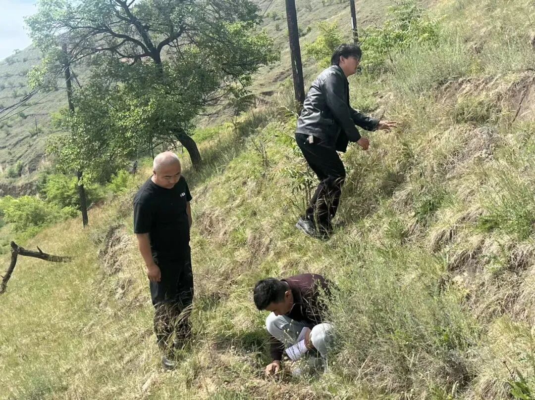 微光聚洪德 实干见初心——看洪德19村“小网格”里的“大情怀”