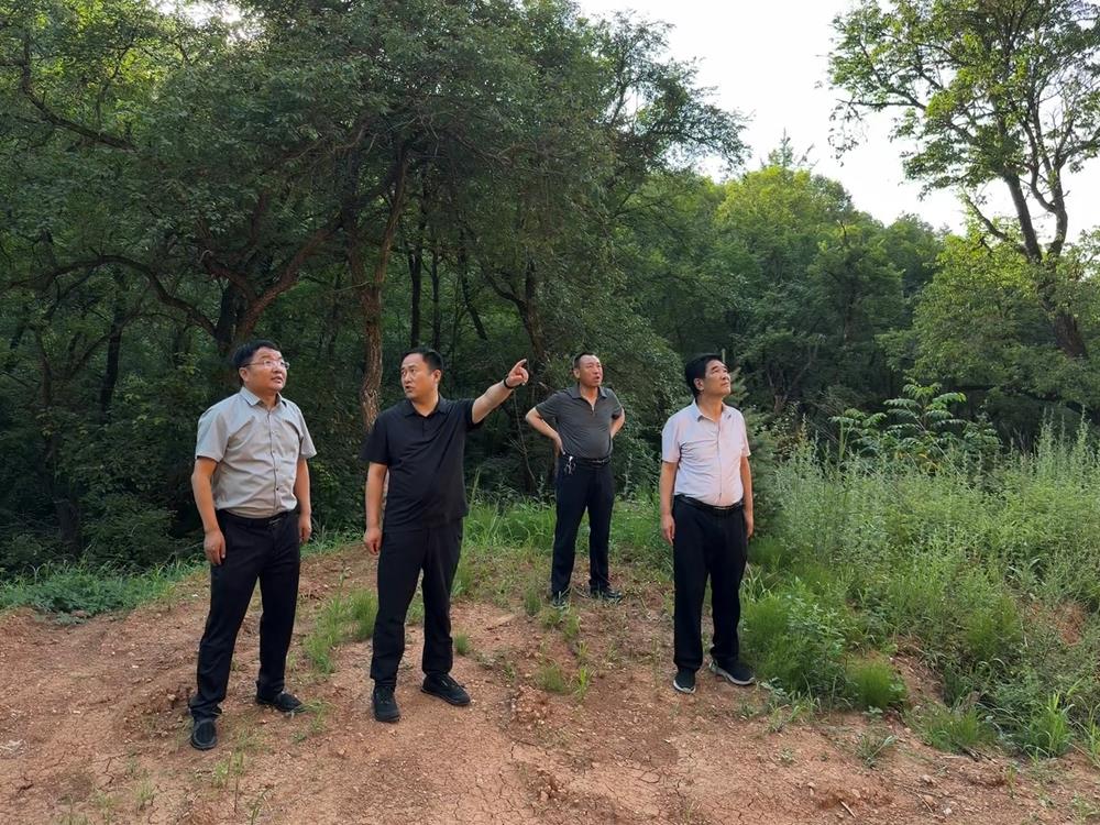 市林草局党组书记、局长祁涵督导检查林区防汛减灾和安全生产工作