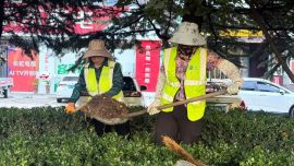 西峰区：精细化管理让城市环境更洁净