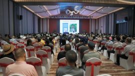 庆城县举办2026“岐伯故里”品牌发展大会
