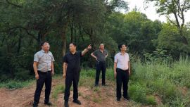 庆阳市林草局党组书记、局长祁涵督导检查林区防汛减灾和安全生产工作