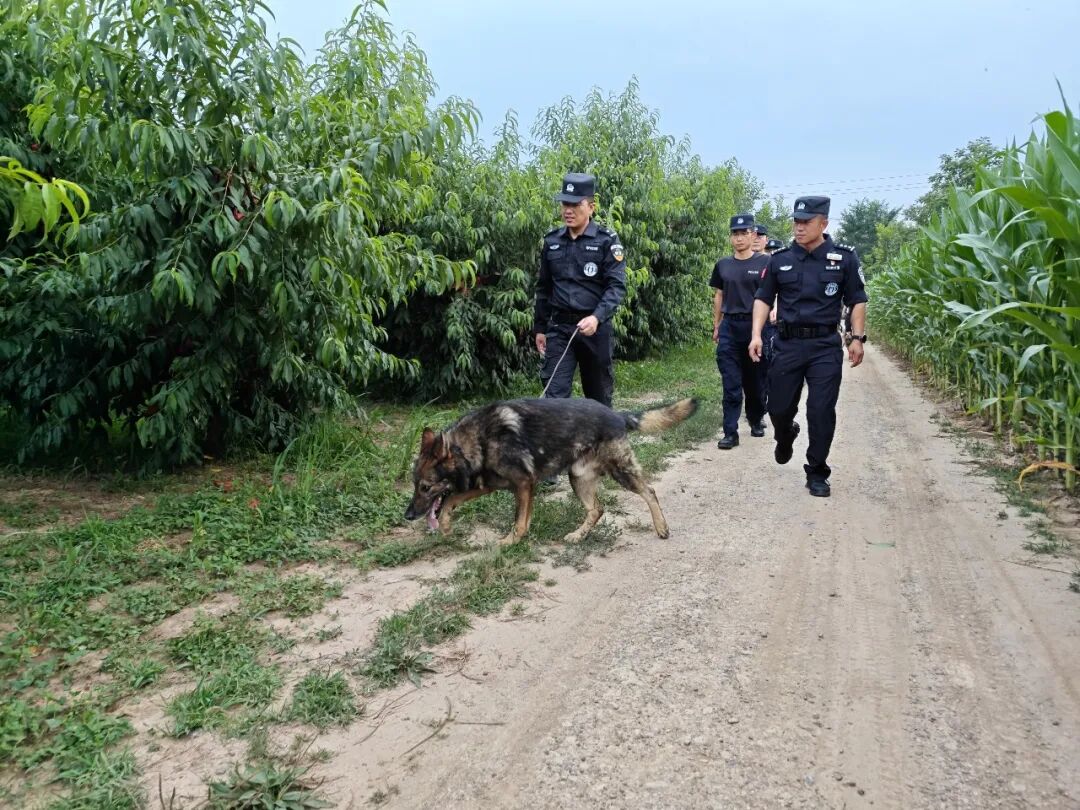 “空中找、地上寻、犬力搜”——两小时极速寻回94岁走失老人