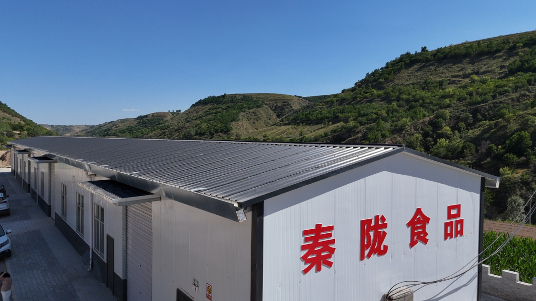 七月,深耕乡土多元富民路——华池县“走基层 看变化”采访手记(四)