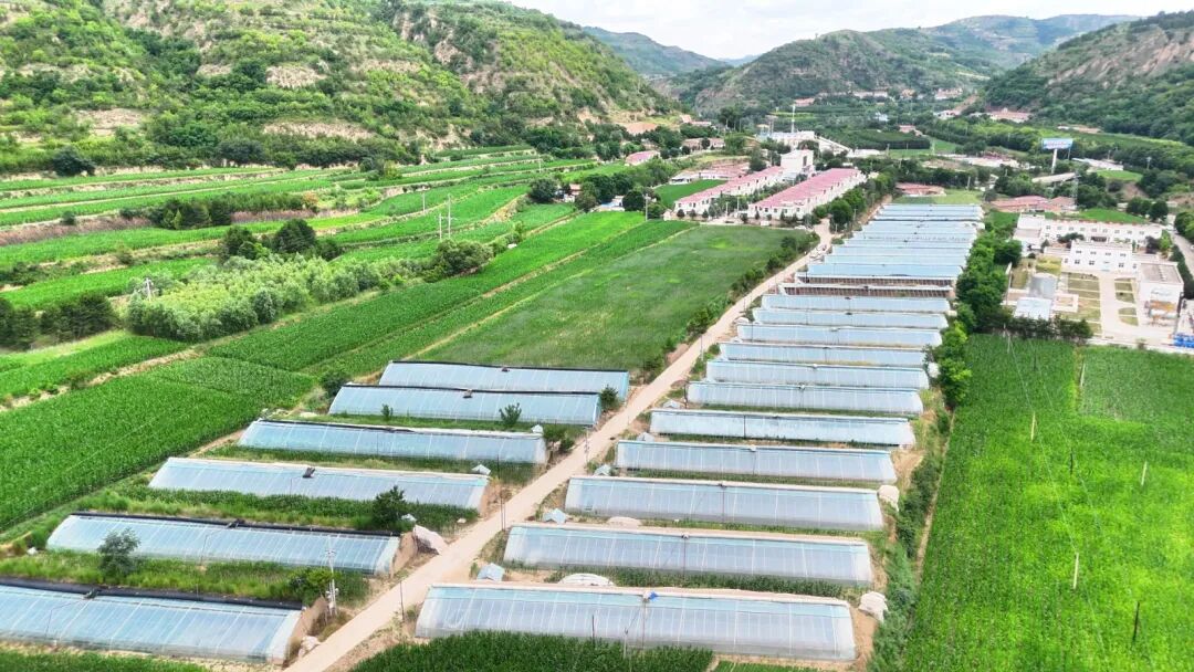 华池县悦乐镇绘就乡村振兴新图景