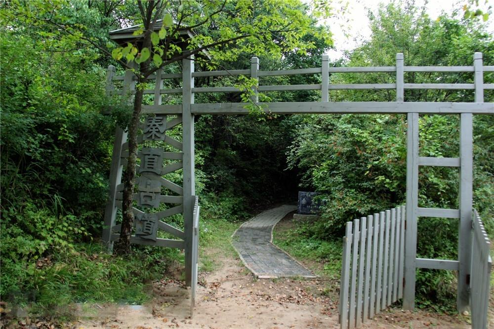 秦直古道遗迹 摄影师/龙只