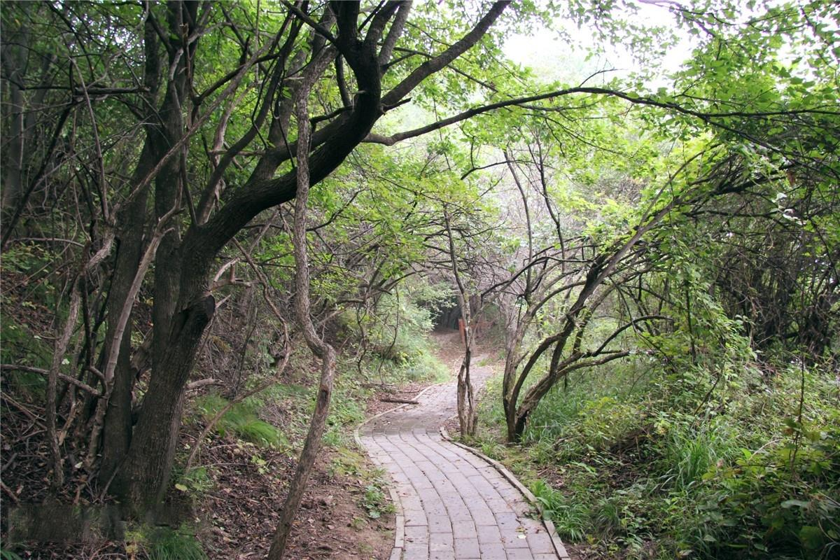 秦直古道遗迹 摄影师/龙只