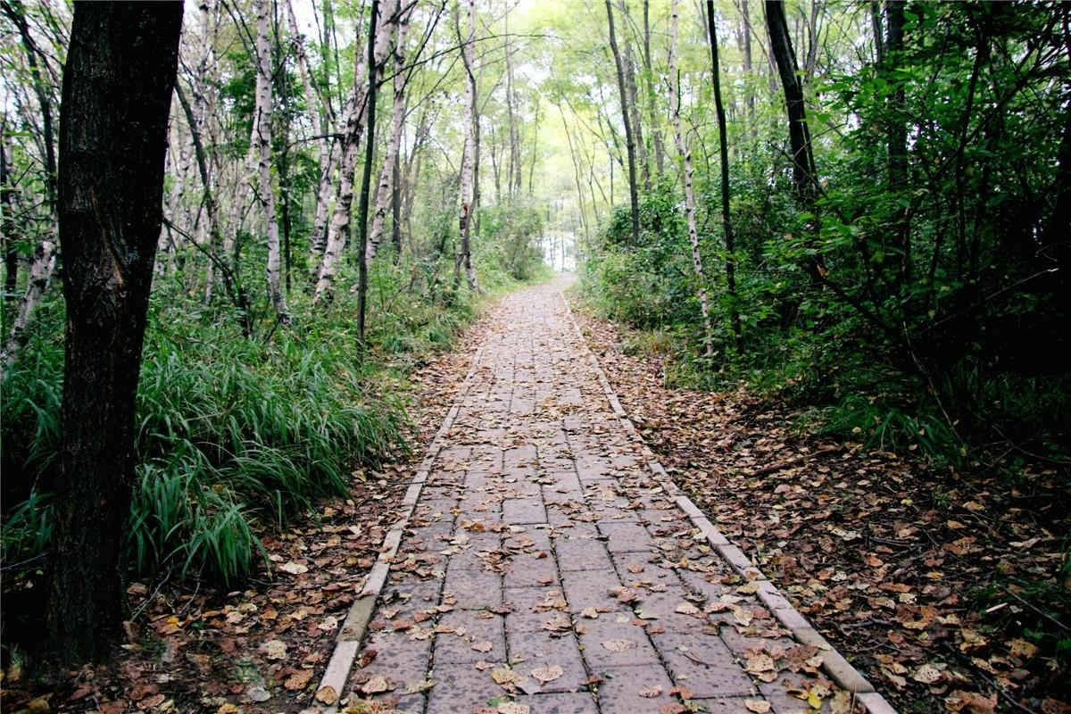 秦直古道遗迹 摄影师/龙只