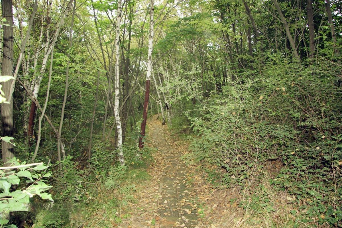秦直古道遗迹 摄影师/龙只