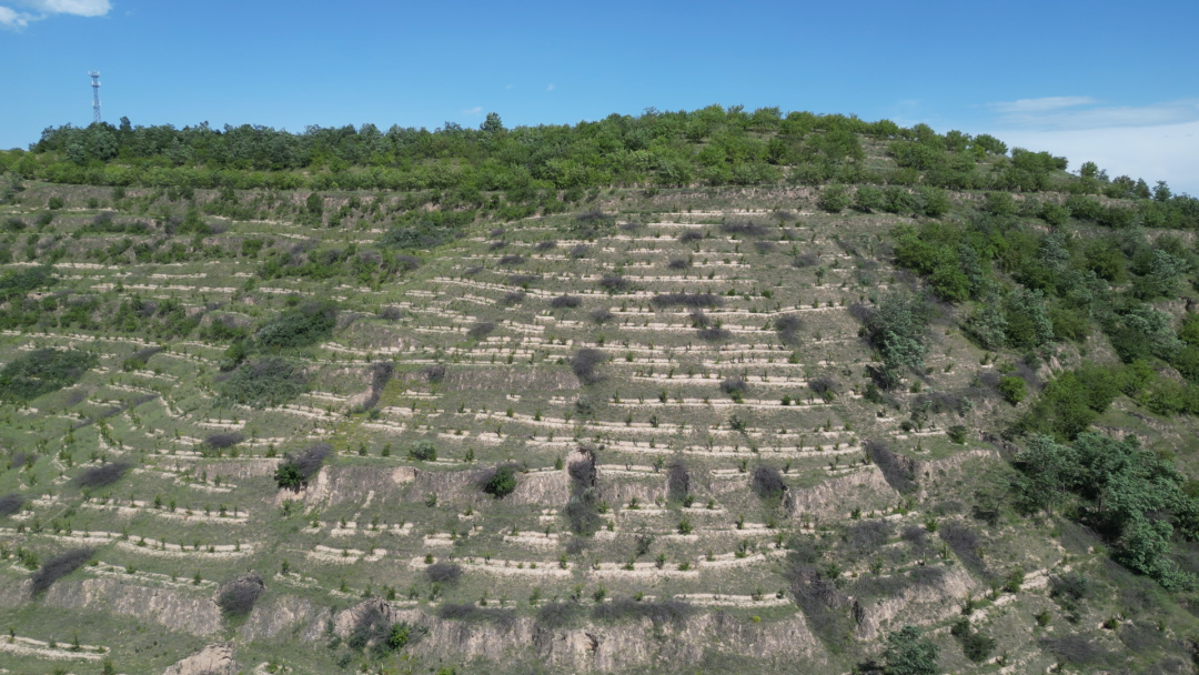 7月,塬上田畴织锦绣——华池县“走基层 看变化”采访手记(五)