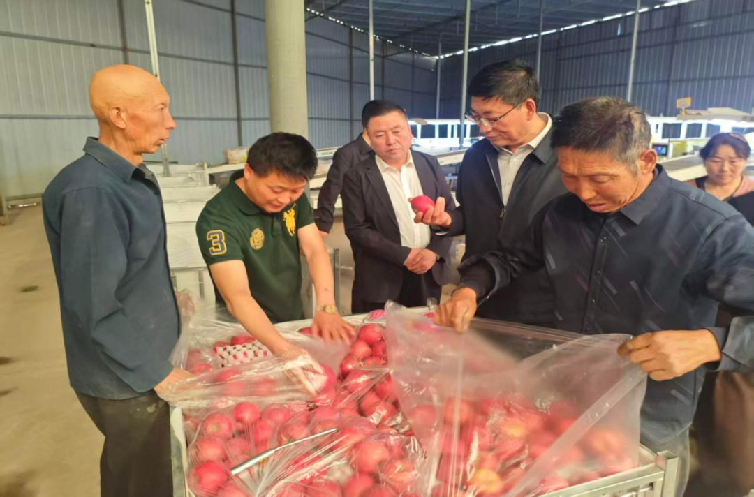 正宁县人大常委会开展乡村产业振兴专题调研