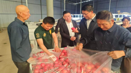 正宁县人大常委会开展乡村产业振兴专题调研