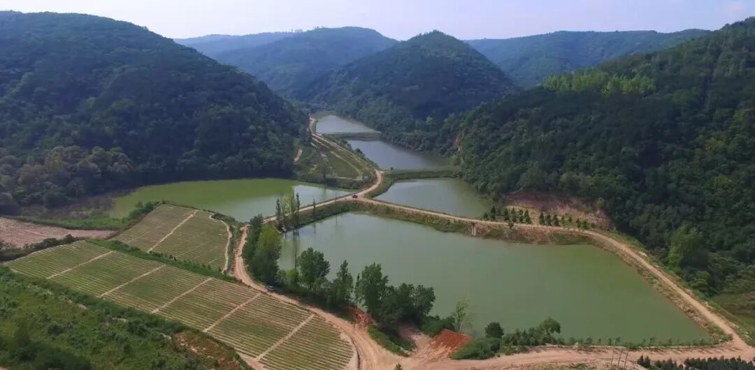 桂花塬林场“三基地一集群”建设初见成效