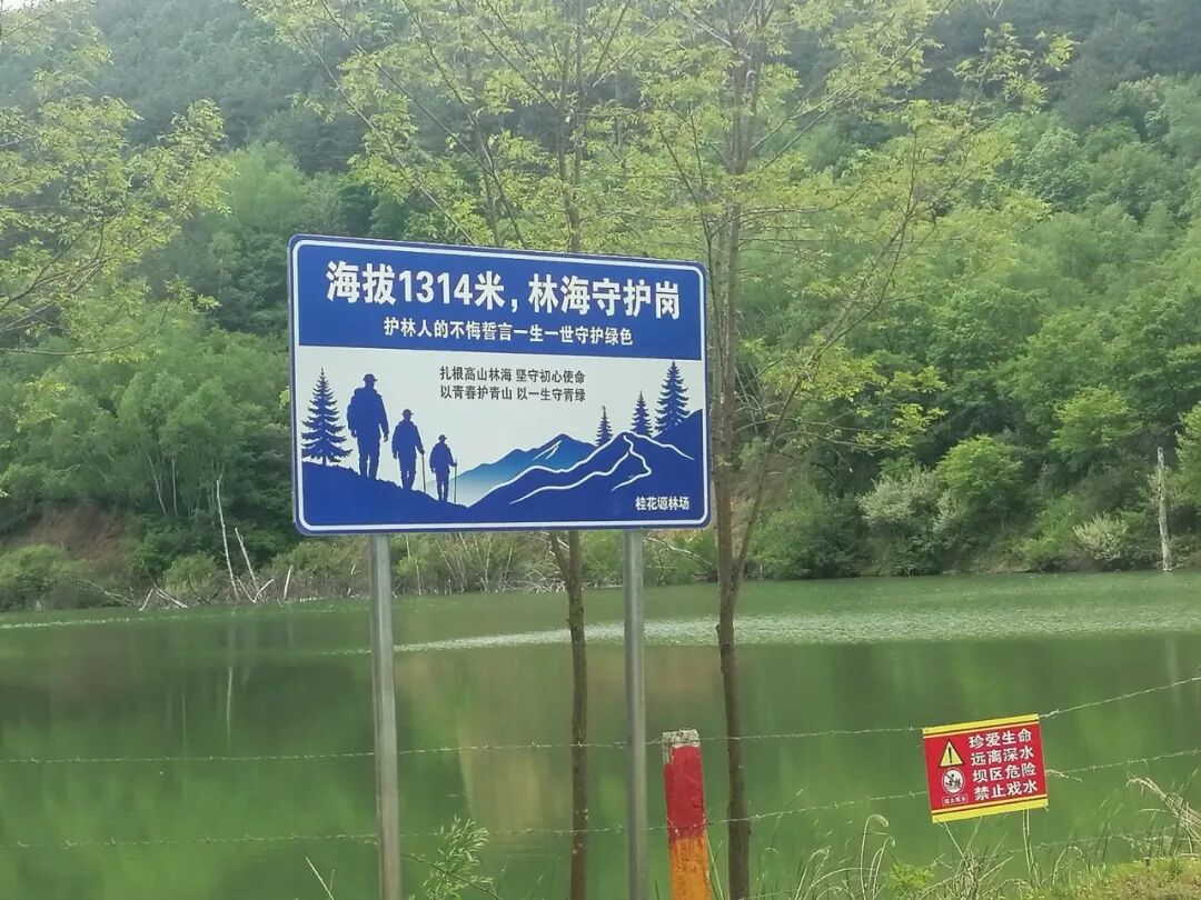 桂花塬林场“三基地一集群”建设初见成效