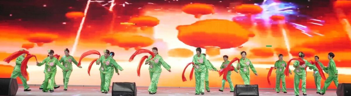 2026年庆阳市广场舞展演圆满落幕