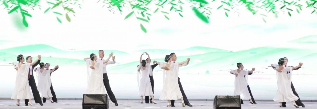 2026年庆阳市广场舞展演圆满落幕