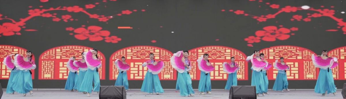 2026年庆阳市广场舞展演圆满落幕