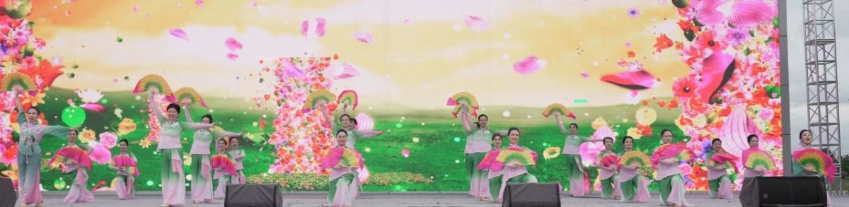 2026年庆阳市广场舞展演圆满落幕