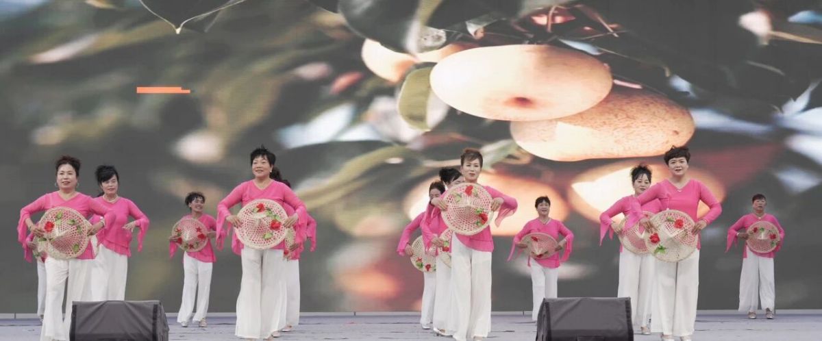 2026年庆阳市广场舞展演圆满落幕