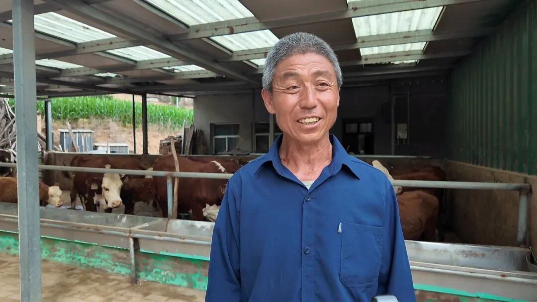 华池县南梁镇:多元产业多点开花 赋能乡村振兴提质增效