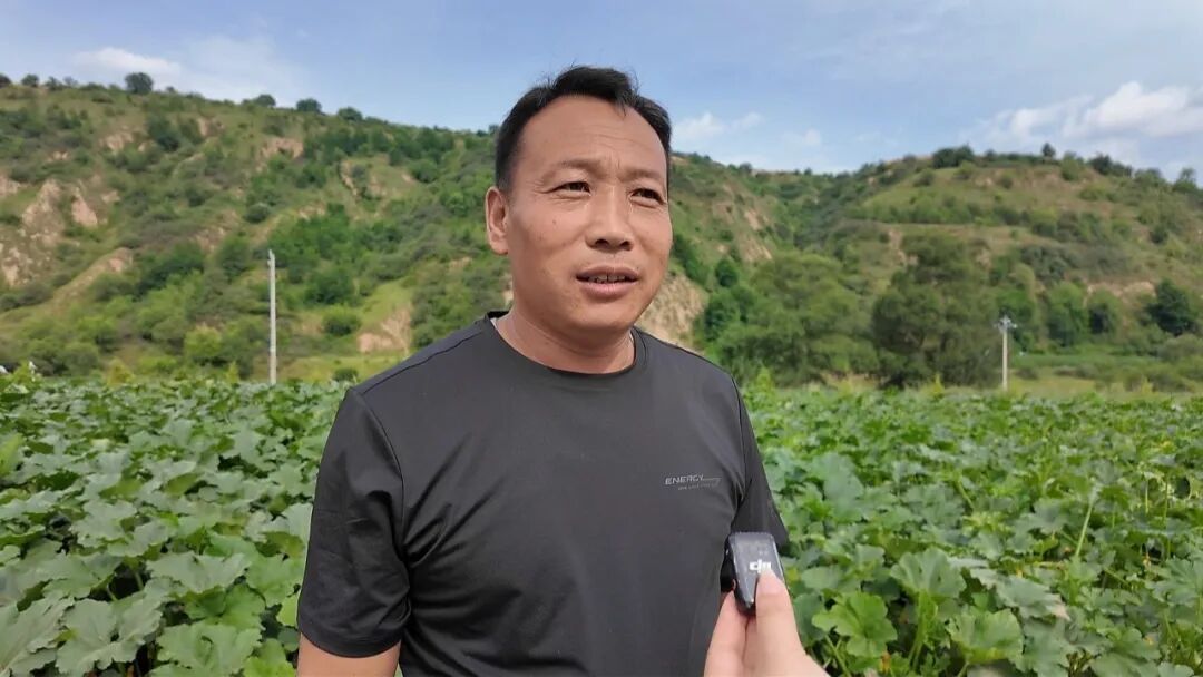 华池县南梁镇:多元产业多点开花 赋能乡村振兴提质增效
