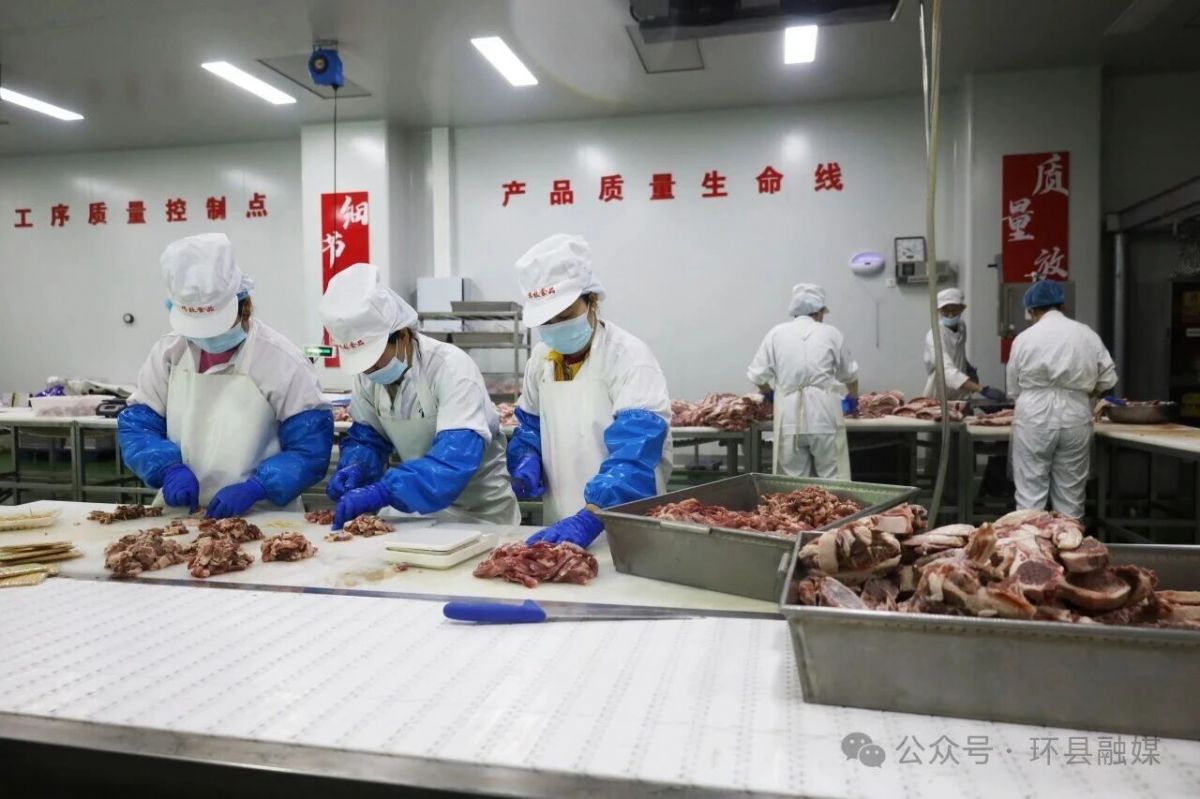 环县“两园一中心”:全链贯通 产销提速