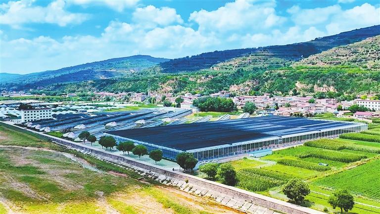 天津市援建静宁县肉牛育肥基地已具规模。(天津市对口支援甘肃工作前方指挥部供图)