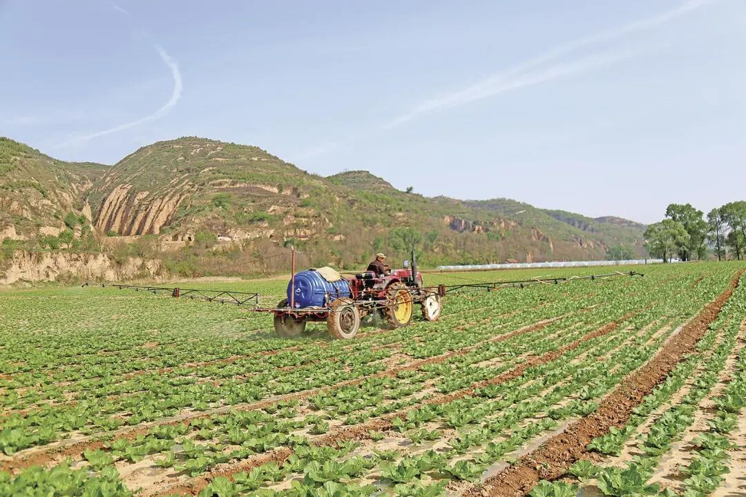 在宁县南义乡寨河村,机械喷药机在村集体示范园里喷药。