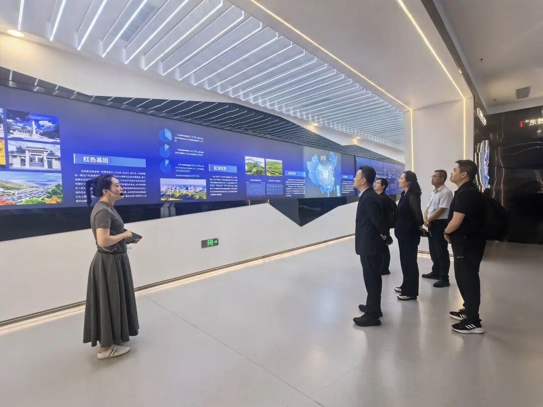 广东云韬氢能科技有限公司总裁张备一行来庆考察合作项目