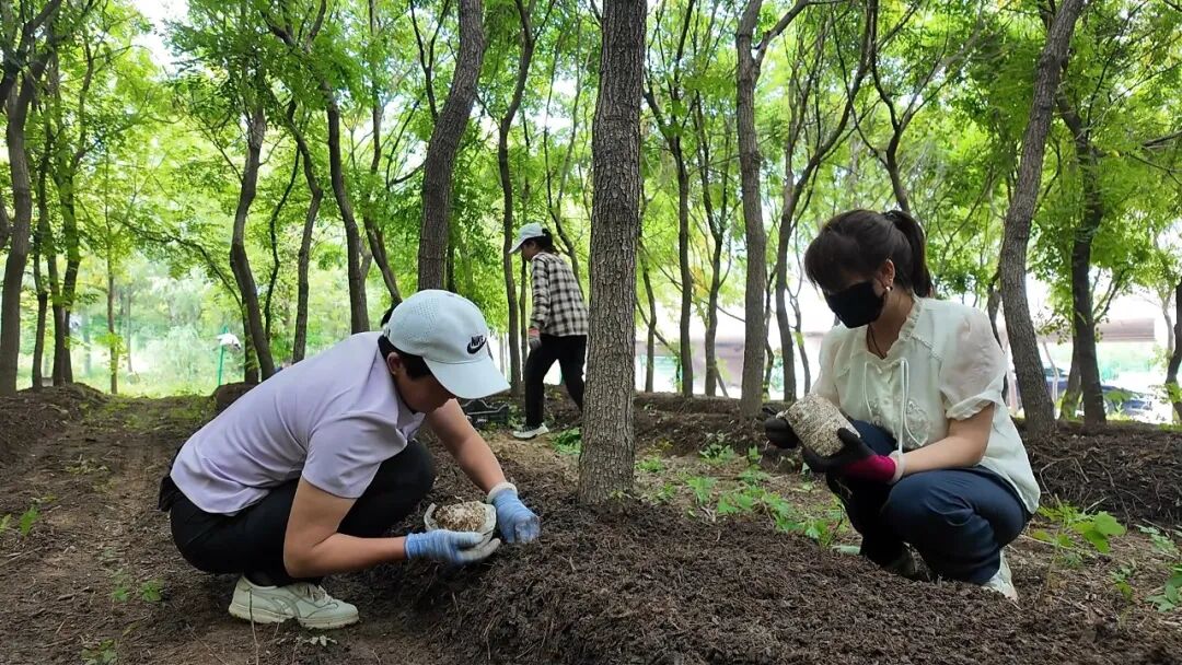 林海藏生机 红土启华章 “走基层 看变化”采访手记之林镇篇(九)