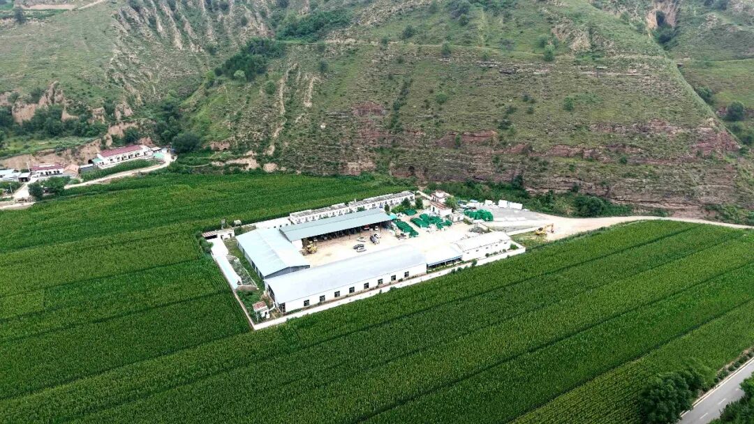 林海藏生机 红土启华章 “走基层 看变化”采访手记之林镇篇(九)