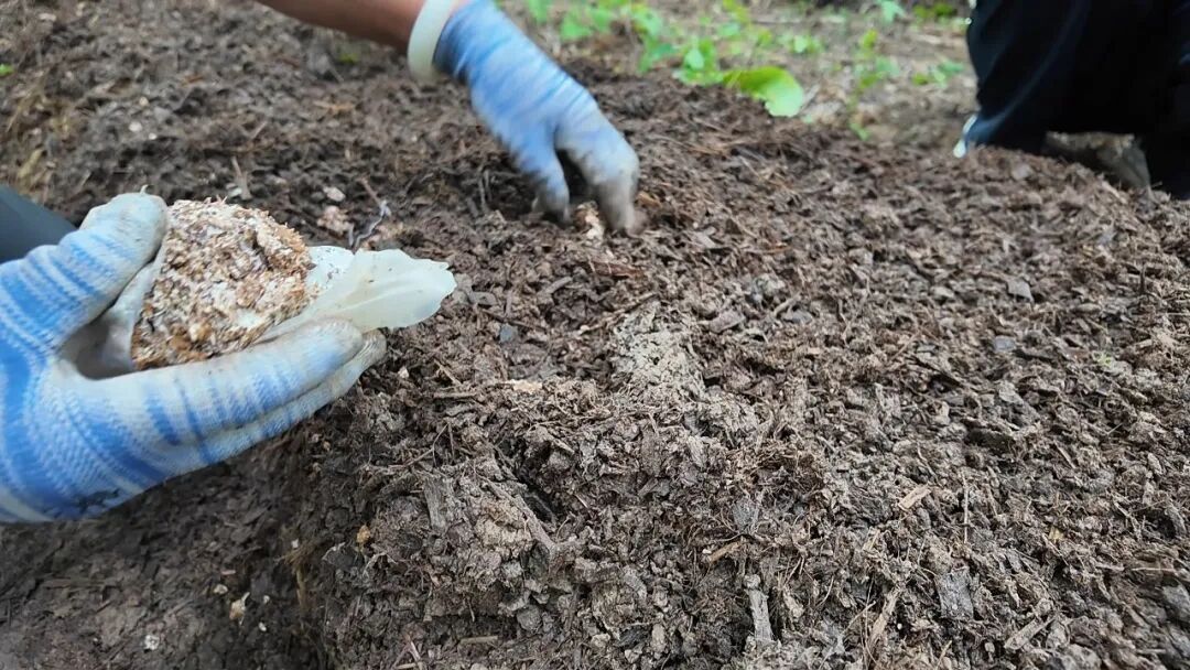 林海藏生机 红土启华章 “走基层 看变化”采访手记之林镇篇(九)