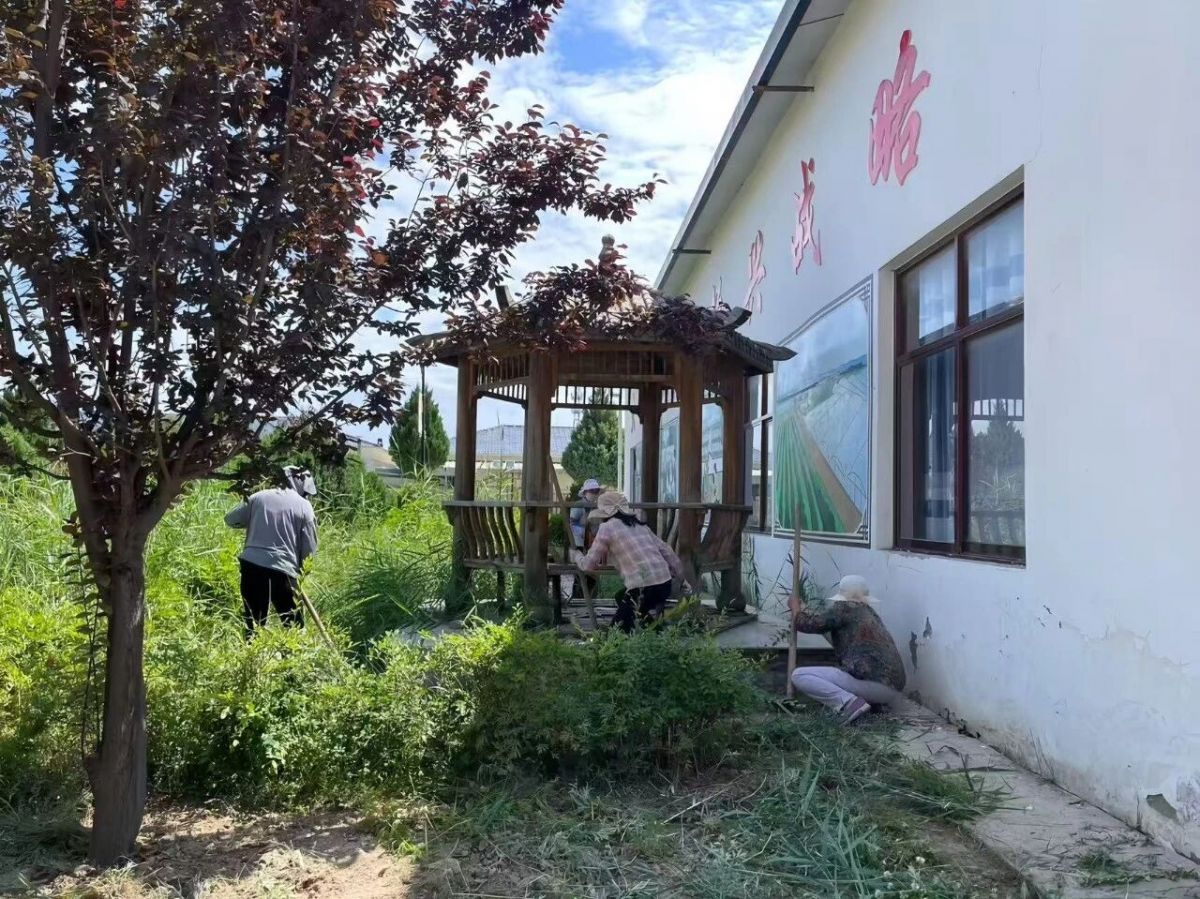 庆城县白马铺镇常态化推进人居环境整治