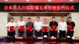合水县太白镇甜糯玉米预售签约大会召开