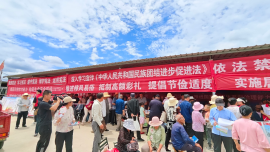 镇原县司法局临泾司法所借力主题活动开展法治宣传，筑牢基层法治防线