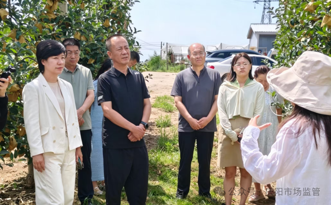 &ldquo;跟着IP游中国&middot;甘肃篇&rdquo;走进庆阳： 探秘地理标志与非遗文化