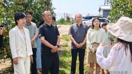 “跟着IP游中国·甘肃篇”走进庆阳： 探秘地理标志与非遗文化