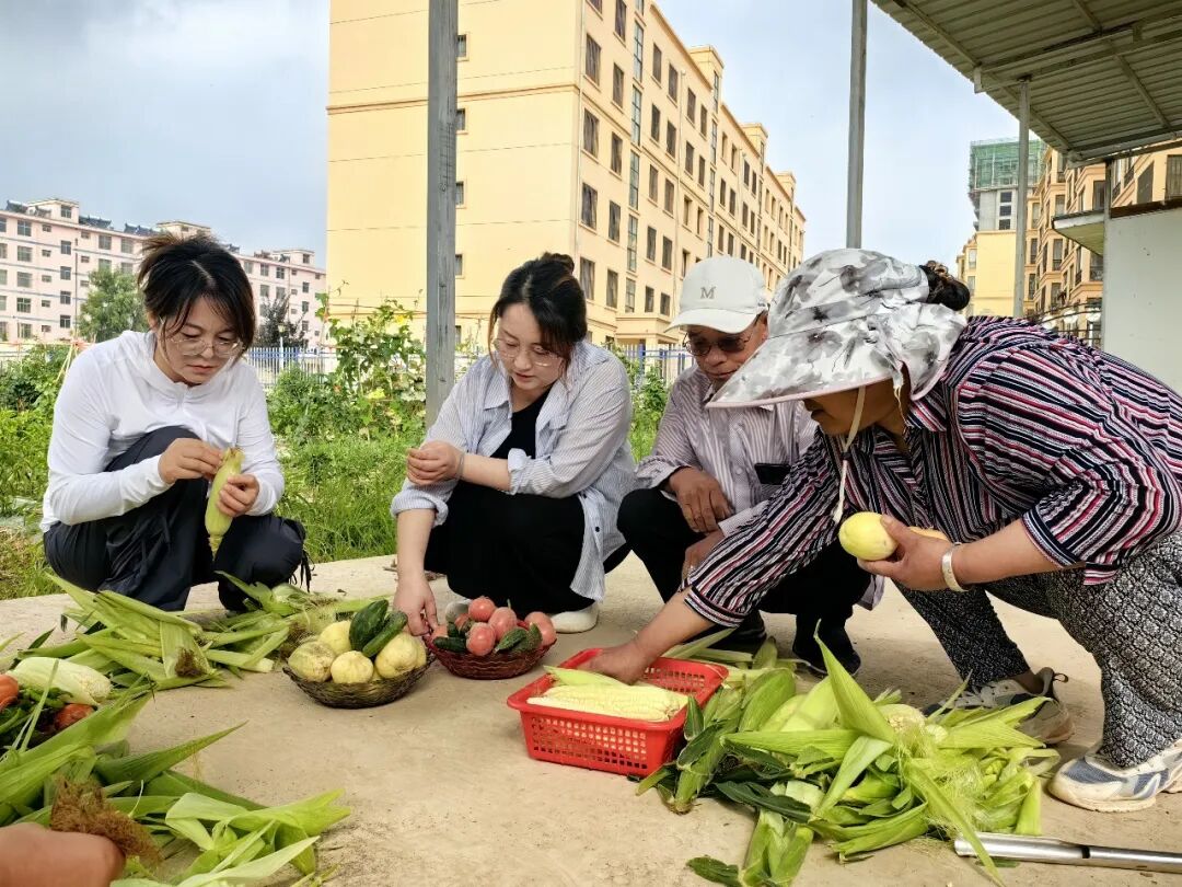 镇原县孟坝镇社区基层治理特色工作见闻