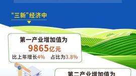 图表：2025年我国“三新”经济增加值占GDP比重达18.39%