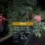 庆阳公路：巡查除险一体推进 筑牢汛期路网安全防线