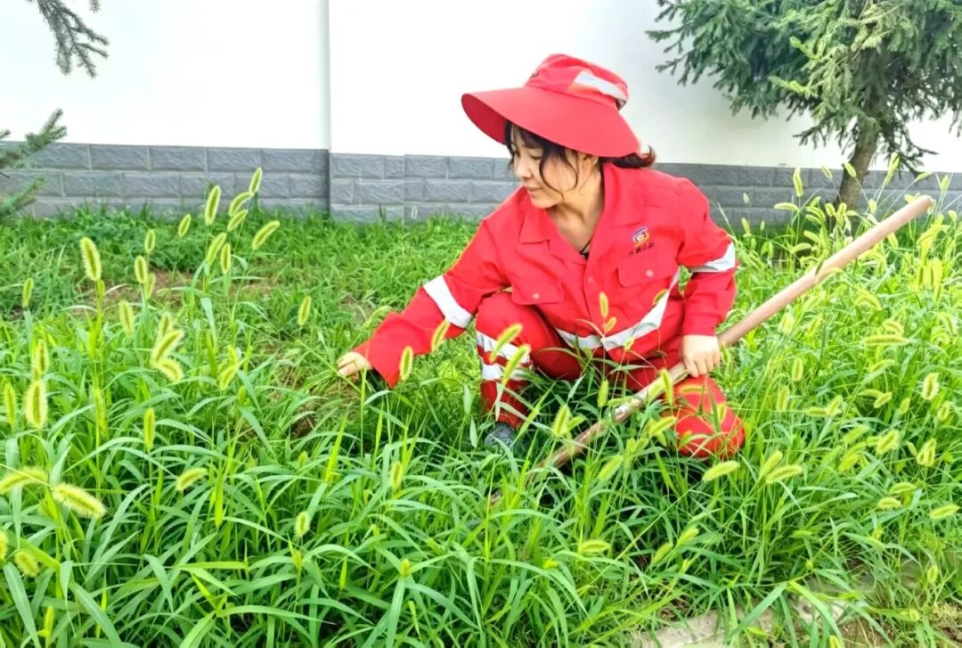 橘红色工装下的军人本色——记华池公路段悦乐养护站麻颜