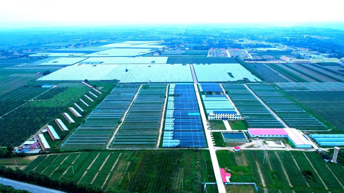 关于征集微视频宁县报送素材.mp4_snapshot_04.58_[2026.07.09_09.29.47].jpg