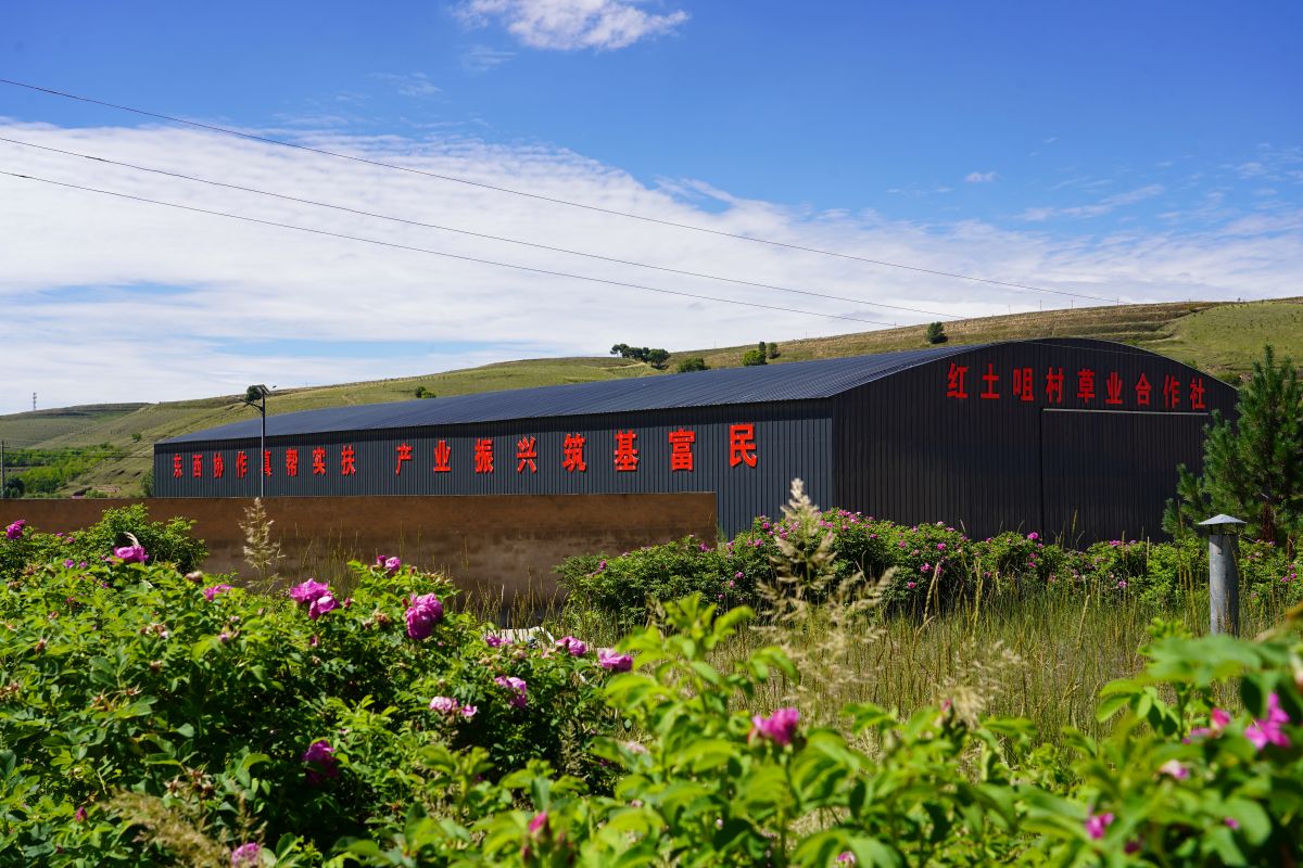 东西部协作助力环县乡村示范村建设纪实