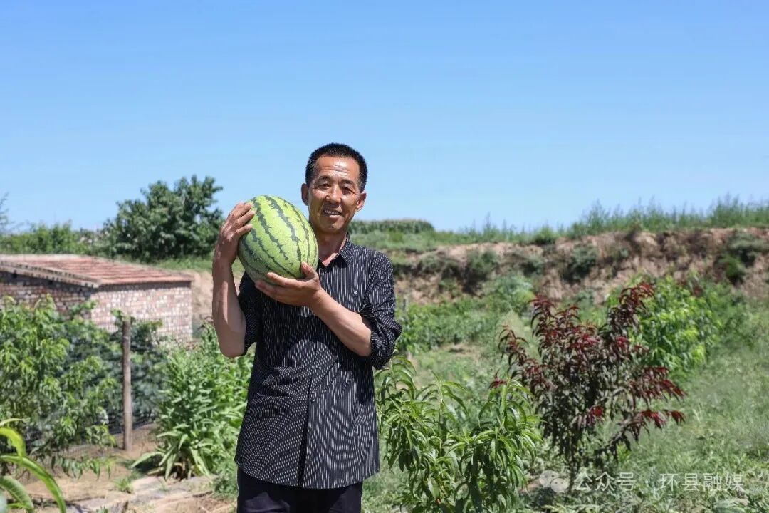 一袋有机肥的旅程:环县羊粪如何变身良田“营养剂”