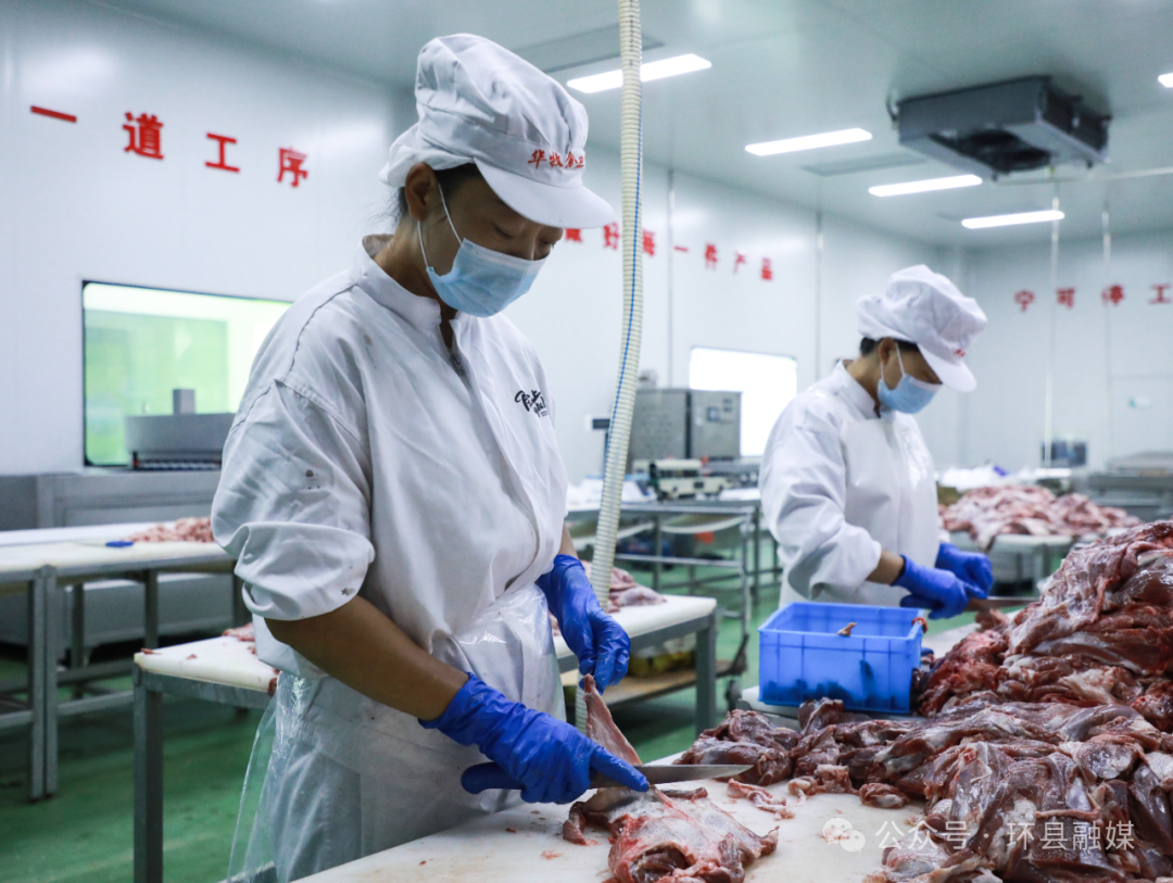工人郭芳芳家住木钵镇高寨村新营湾组,每天乘坐6路公交,仅一站路程即可到岗。“在这干活相对轻松,一个月8000元的工资,收入比较稳定,离家近,能照顾家。”她的话语道出了产业帮扶带给当地群众的真切改变。