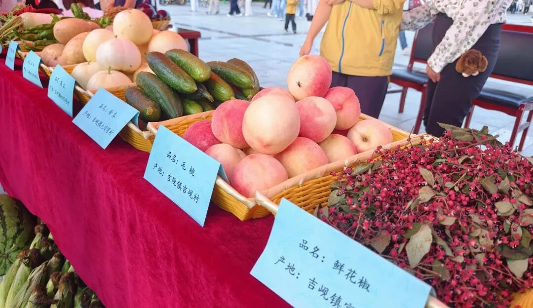 下一步,合水县将持续深化与红桥区的东西部协作,聚焦人才交流、产业升级、民生改善、消费帮扶等重点领域,进一步拓展协作深度、提升帮扶质效,抢抓发展新机遇,聚力招大引强,推动产业延链补链强链,全方位巩固拓展脱贫攻坚成果,扎实推进乡村振兴,推动红合两地对口协作向更深层次、更高水平迈进,共同谱写协作发展、共同富裕新篇章。